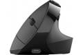 JLab JBUDS ERGONOMIC mouse Home Right-hand RF Wireless + Bluetooth 240