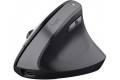Trust Bayo II Wireless