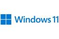 Microsoft ESD Windows 11 Home (OEM)