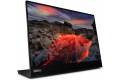 14"" Lenovo ThinkVision M14t Gen 2