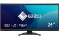 Eizo FlexScan EV3450XC 34.1" 21:9 UWQHD Curved IPS LED Monitor