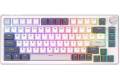 Royal Kludge RKH81 RGB mechanical keyboard Sky cyan switch (white)