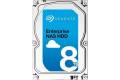 Seagate Enterprise NAS ST8000NE0001