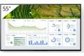 Sony Bravia Professional Displays FW-55BZ30L