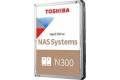 Toshiba N300