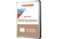 Toshiba N300