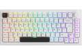 Akkogear 5075B Plus-S Black on White Akko V3 Cream Blue Pro