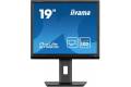 19" iiyama ProLite B1980S