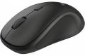 Trust TM-250 mouse Ambidextrous RF Wireless Optical 1600 DPI