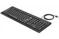 HP 100