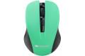 Canyon Wireless Optical Mouse Green
