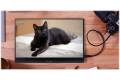 Acer 15" AOpen Fire Legend 16PM3Q bmiuux