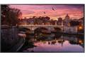 Samsung QB50R Digital signage flat panel 127 cm (50") 4K Ultra HD...