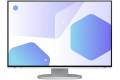24,1"" EIZO EV2485-WT