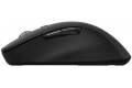 Speed-Link SPEEDLINK SL-630310-BK mouse