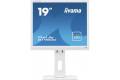 iiyama 19" ProLite B1980D-W1 SXGA (1280x1024)