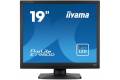 iiyama ProLite E1980D-B1 LED display 48.3 cm (19") 1280 x 1024 pi
