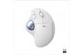 Logitech ERGO M575 Wireless Trackball Mouse