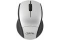 Digital Innovations 4230100 Silver/Black RF Wireless Optical EasyGlide Travel Mouse