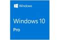 Windows 10 Pro