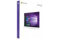Windows 10 Pro OEM