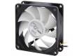 ARCTIC F8 PWM 80 mm PWM Case Fan