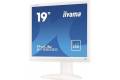 iiyama 19" Prolite B1980SD-W1