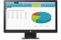 HP 20" ProDisplay P203