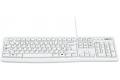 Logitech K120 for Business