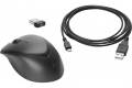 HP Wireless Premium Mouse with