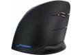 Evoluent VerticalMouse C Right Wireless