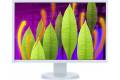 Eizo Flexscan Ev2216wfs3-gy 22 1680 X 1050 16:10