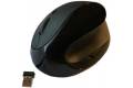 ILG Comfi II Wireless Ergonomic Computer Mouse in Black