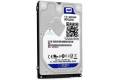 WD Blue SSHD 10J31X