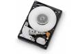 HGST Ultrastar C10K900 HUC109045CSS600