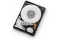 HGST Ultrastar C10K900 HUC109090CSS600