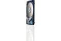 HGST Travelstar Z7K500 HTS725025A7E630
