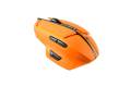 Cougar 600M