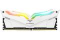 Team Group 16GB (2x8GB) 3200MHz CL16 T-Force Night Hawk ARGB Vit
