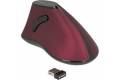 DeLOCK 12528 mouse Right-hand RF Wireless Optical 1000 DPI