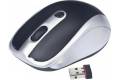 Gembird MUSW-002 mouse Ambidextrous RF Wireless Optical 1600 DPI