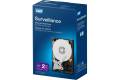 WD Surveillance