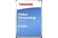 Toshiba V300 Video Streaming