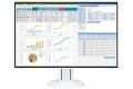 EIZO 24" FlexScan