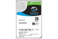 Seagate SkyHawk AI ST6000VE001