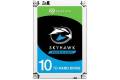 Seagate SkyHawk ST10000VX0004