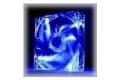 Thermaltake Pure 12 LED Red Computer case Fan 12 cm Transparent